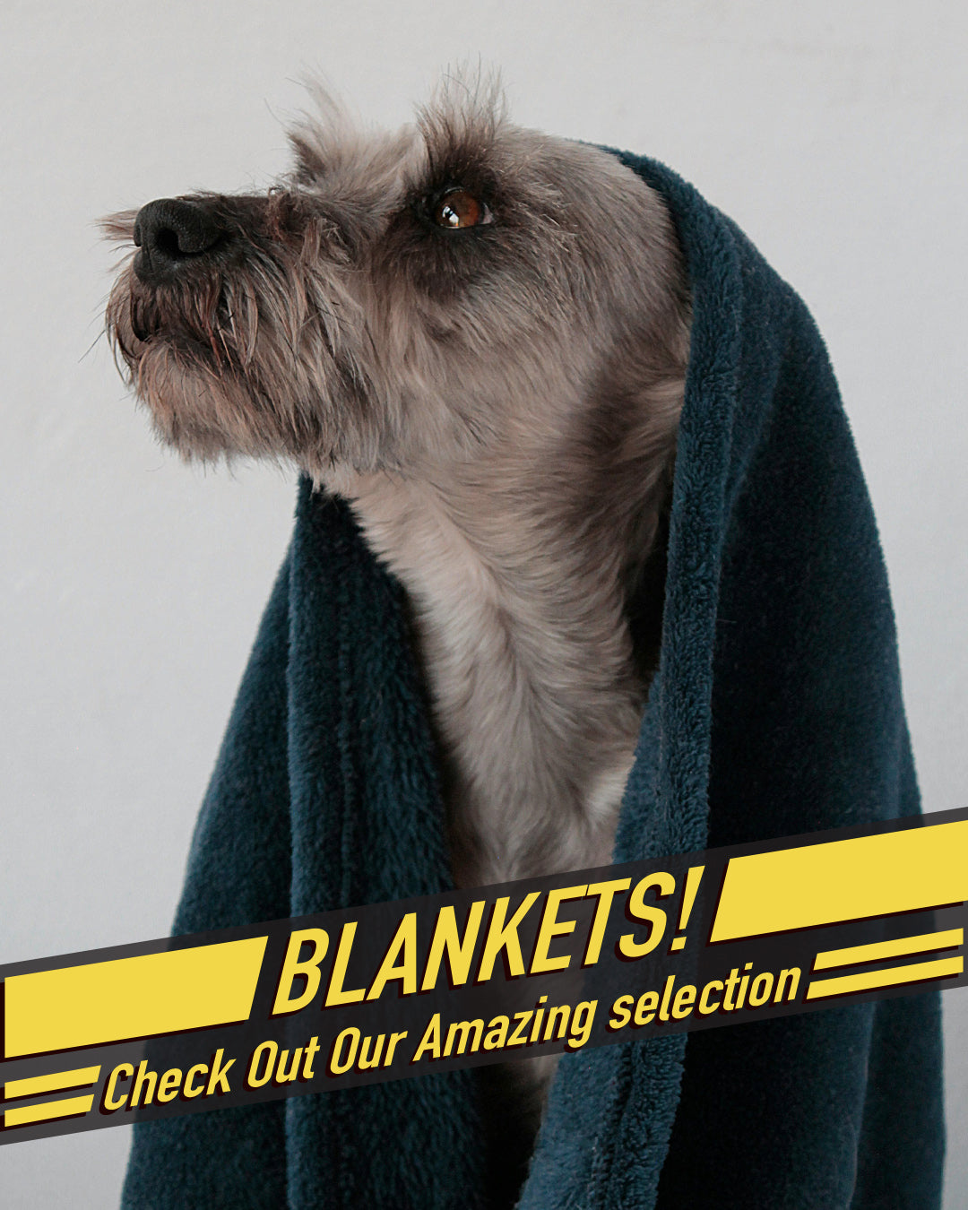 Blanket 3