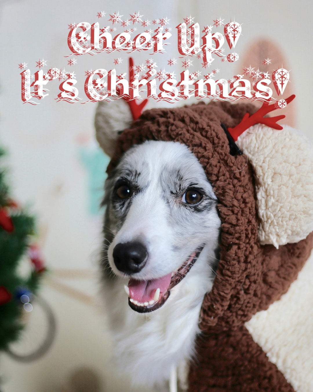 Cheer Up