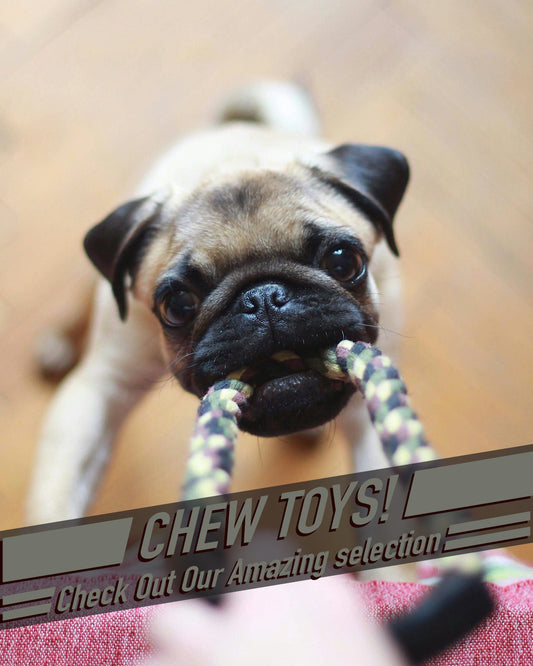Chew Toy 1