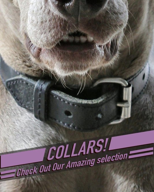 Collars 3