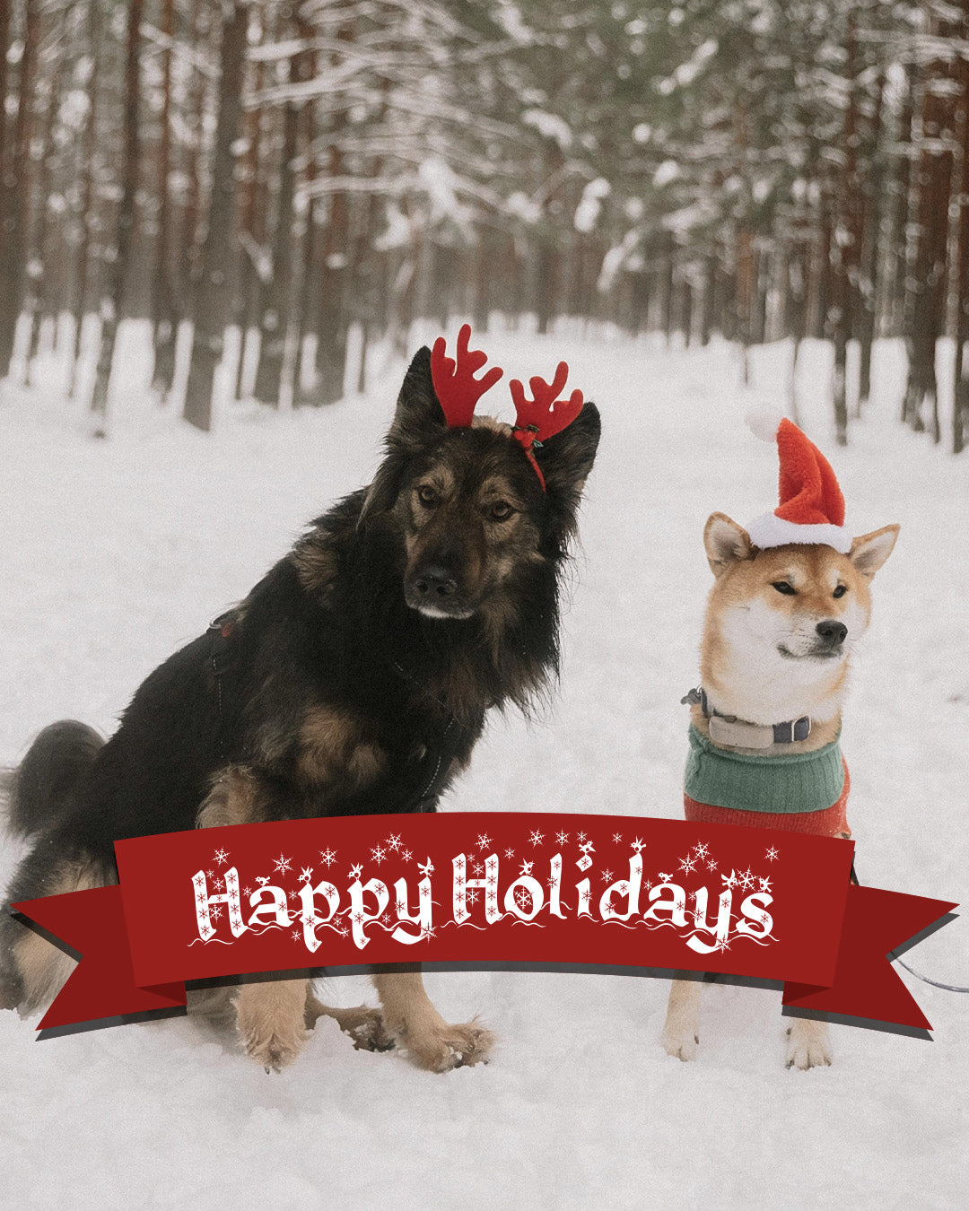Happy Holidays 2