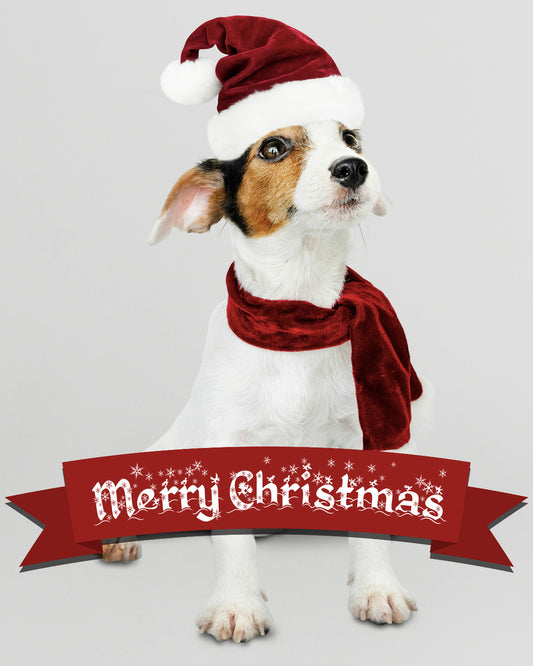 Merry Christmas 1