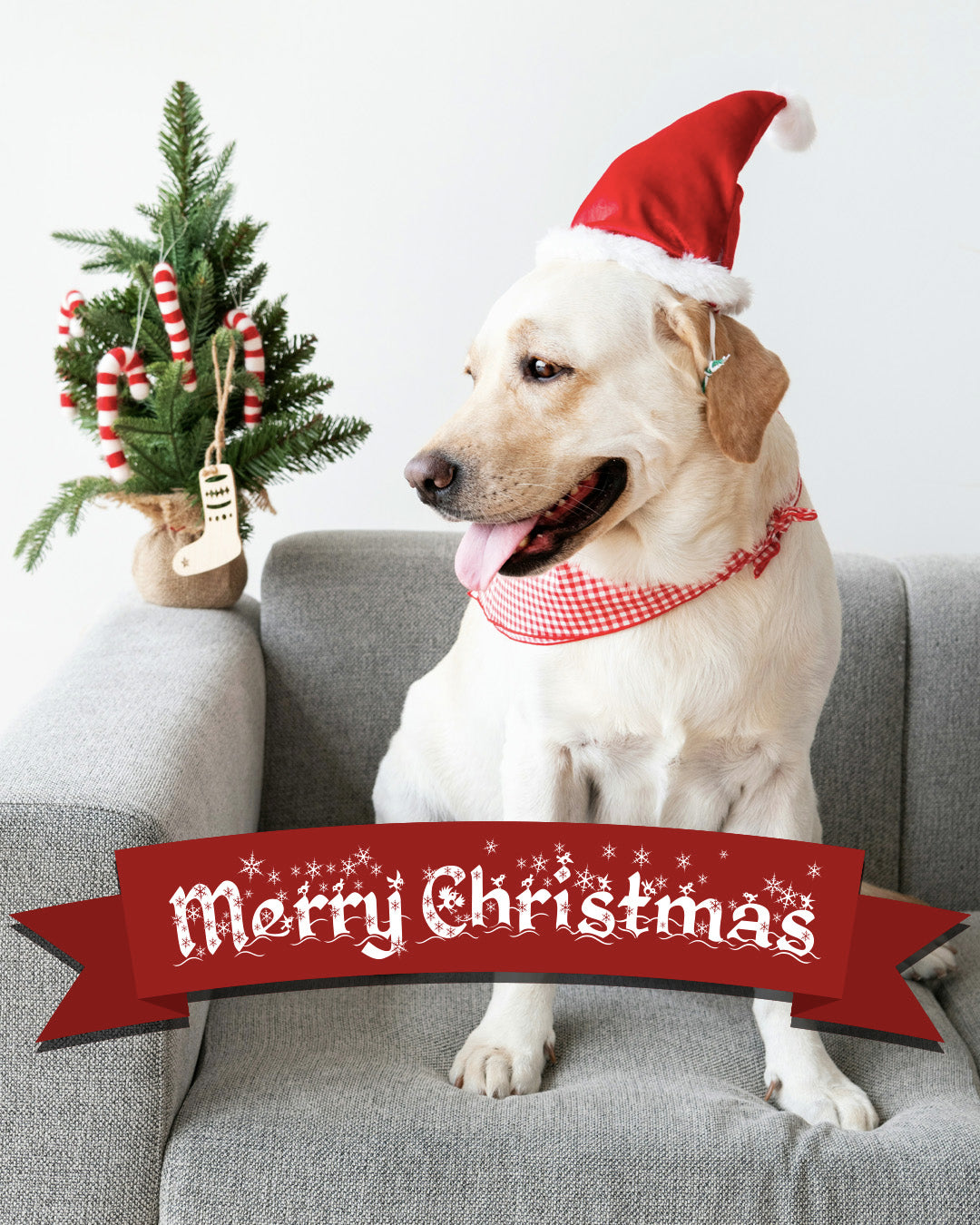 Merry Christmas 10