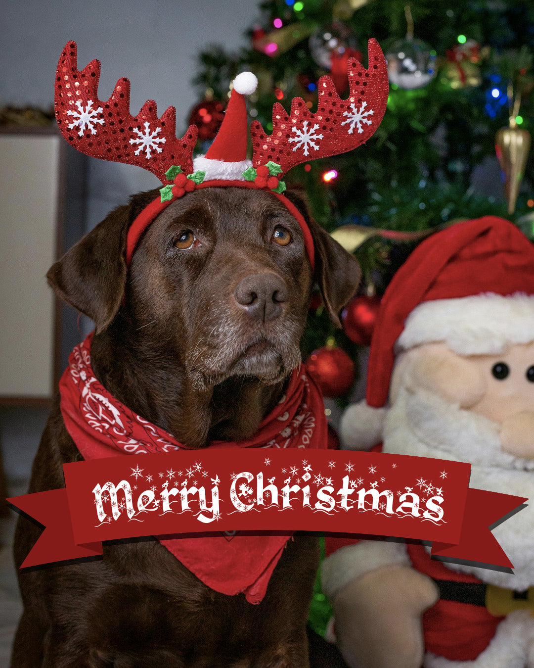 Merry Christmas 3