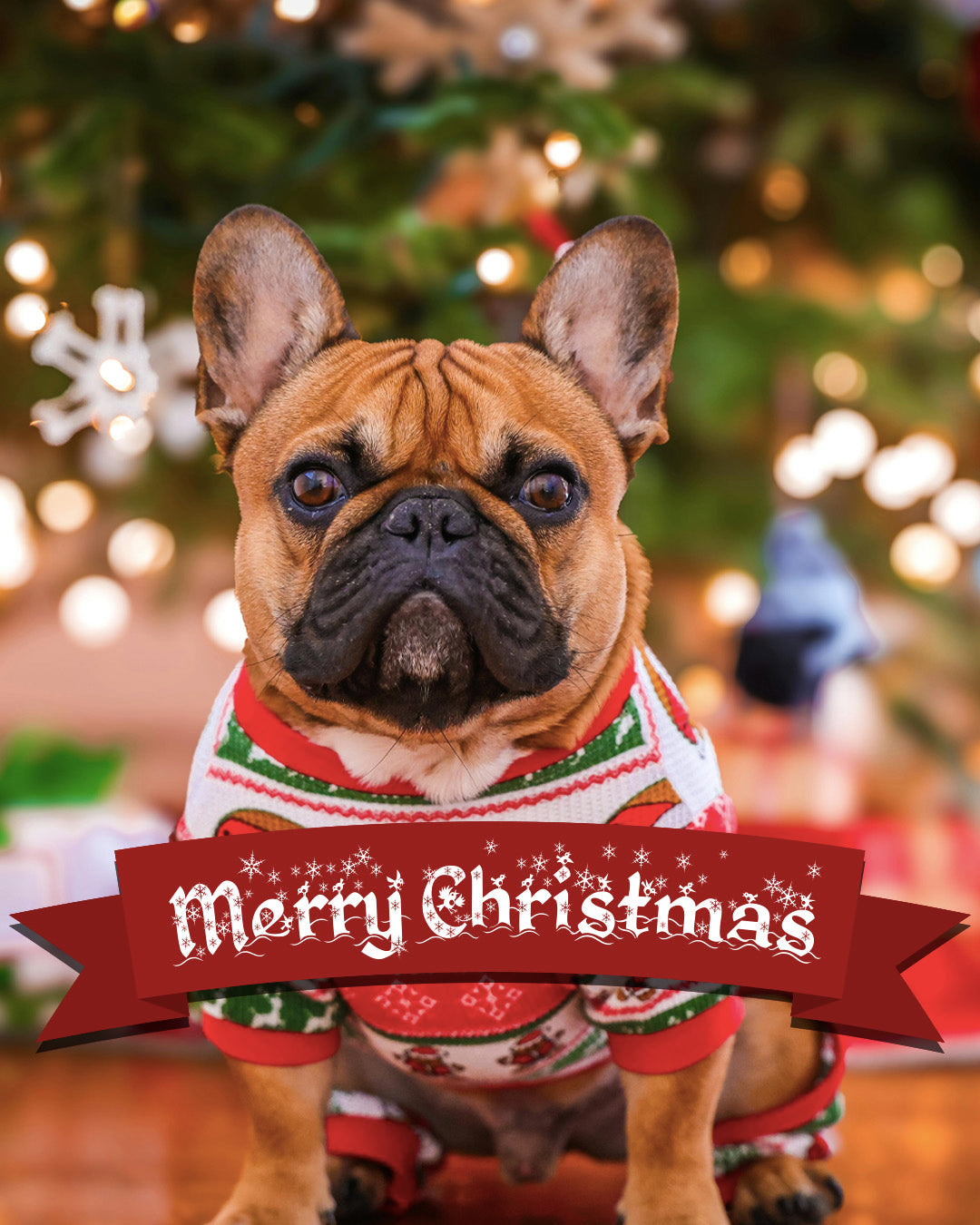 Merry Christmas 5