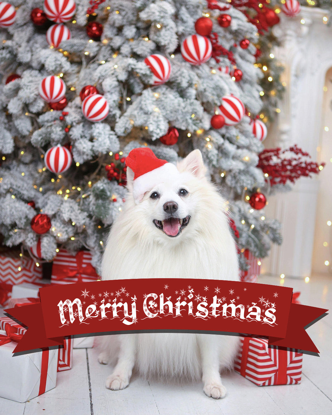 Christmas!