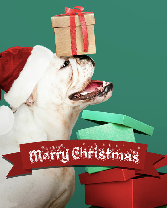 Merry Christmas 9