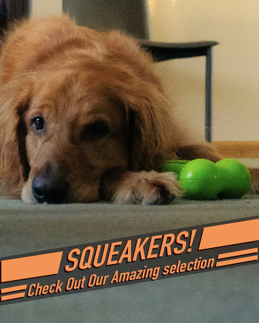 Squeaker 2