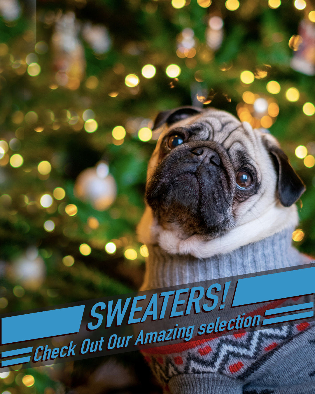 Sweater 1