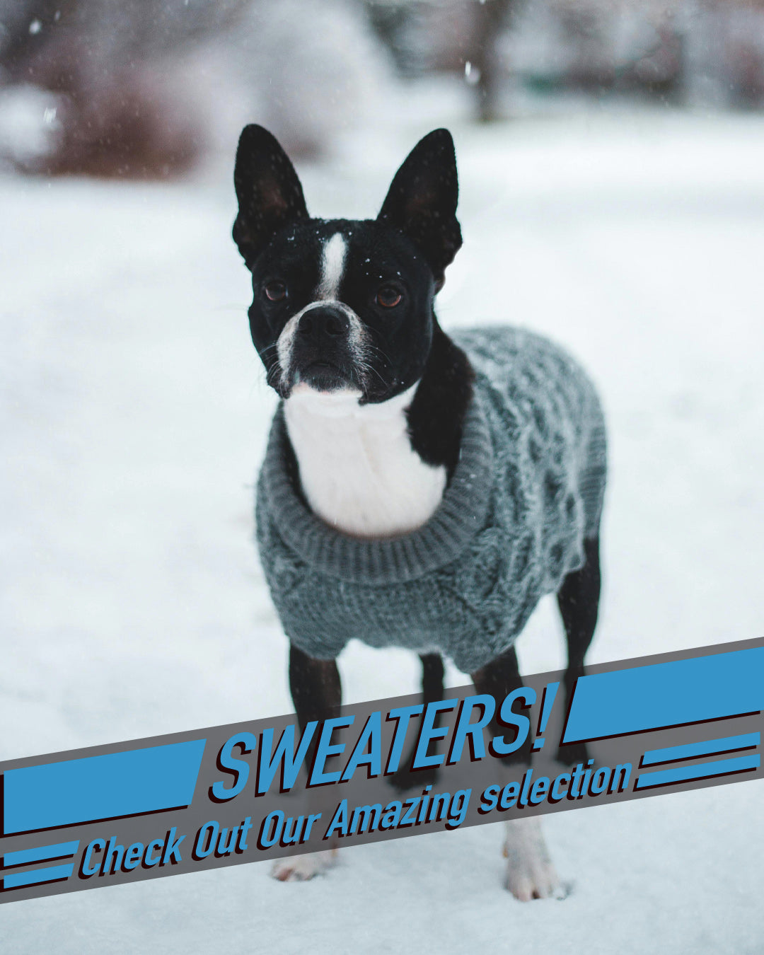 Sweater 2