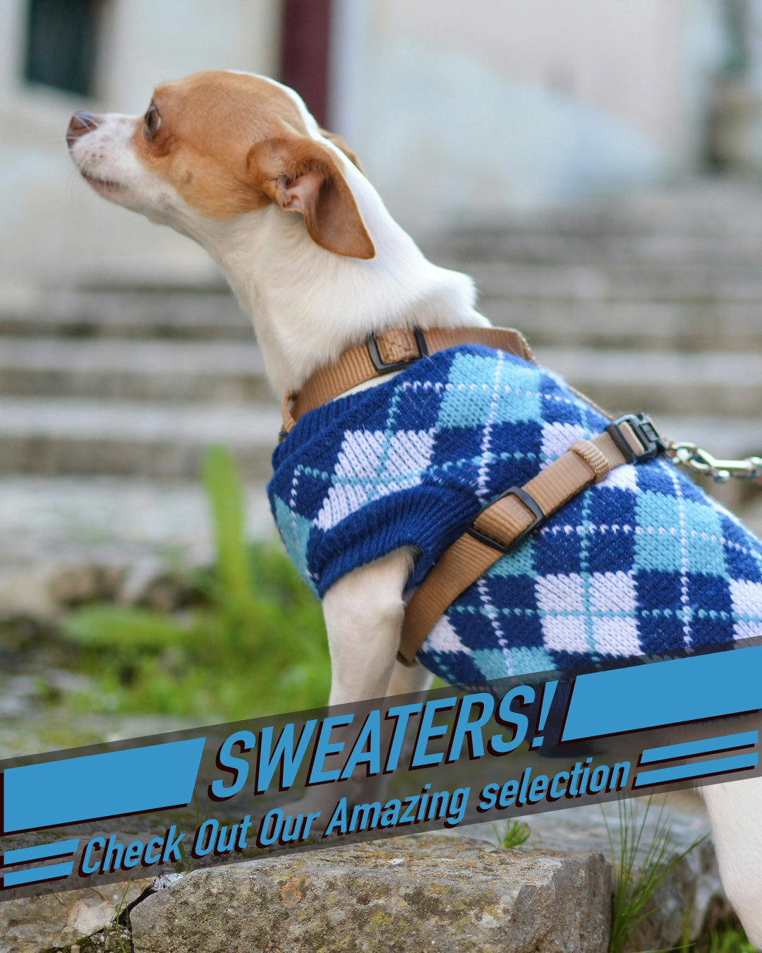 Sweater 3