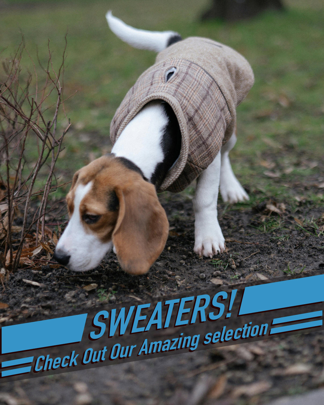 Sweater 4