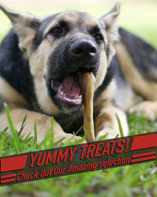 treat 1