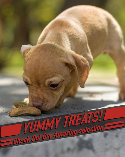 Treat 2