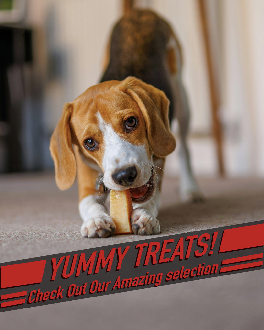 Treat 3