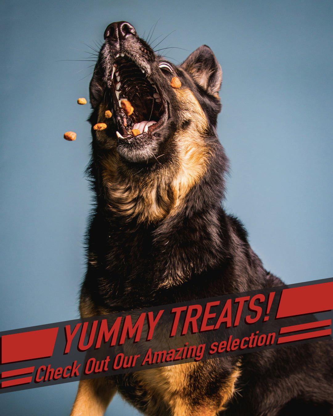 treat 5