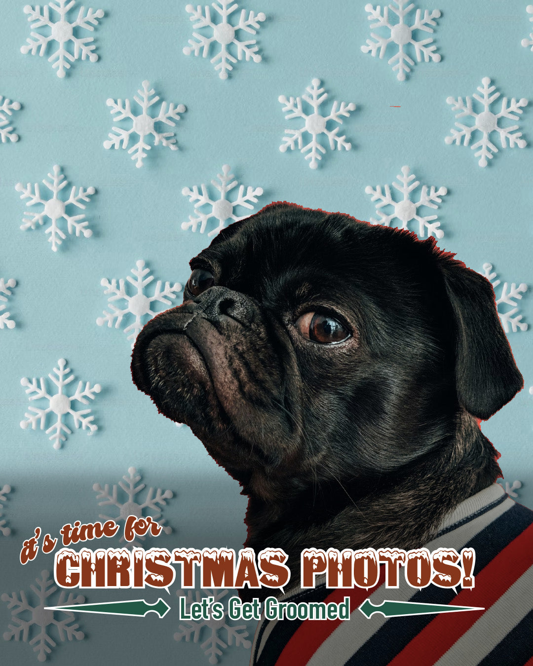 Christmas Photos 1
