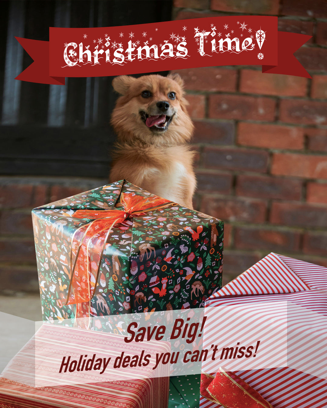 Christmas Time 4