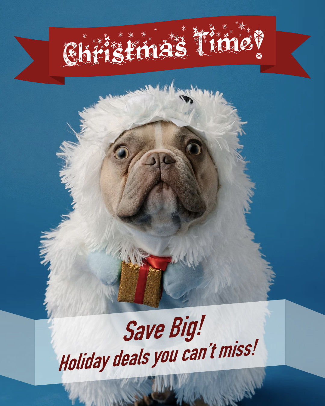 Christmas Time 6
