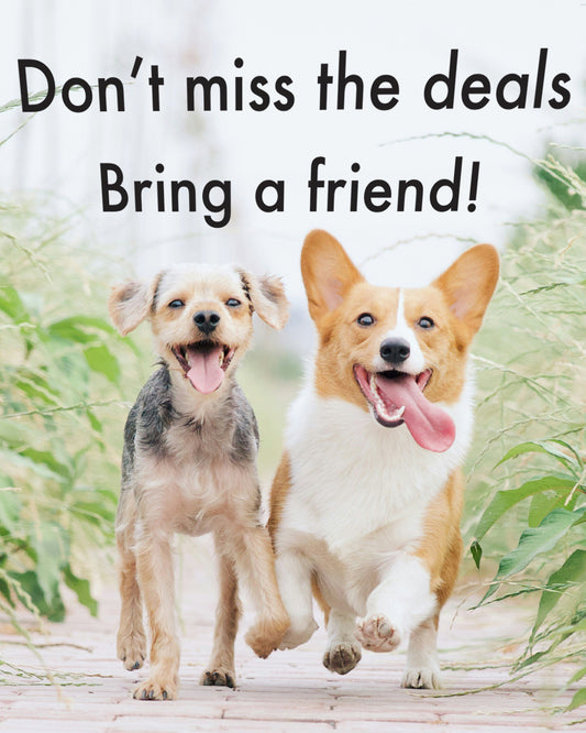 Bring a friend