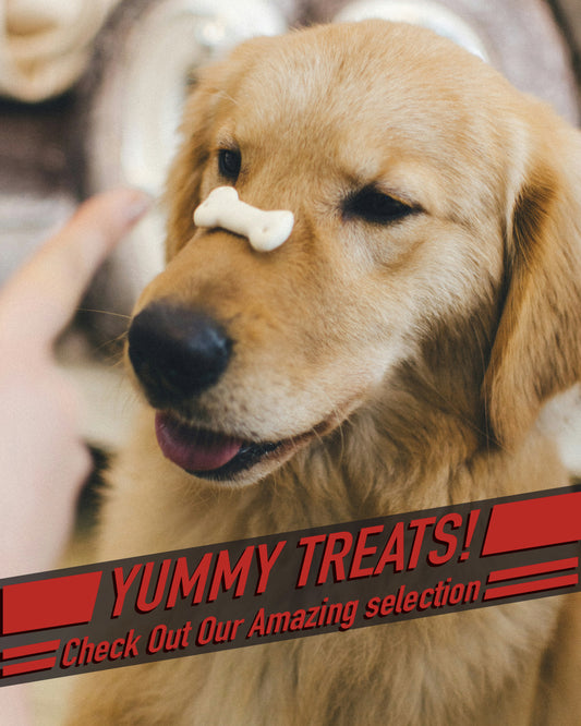 treat 4